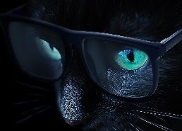 Cyber Matters Newsletter July 2024